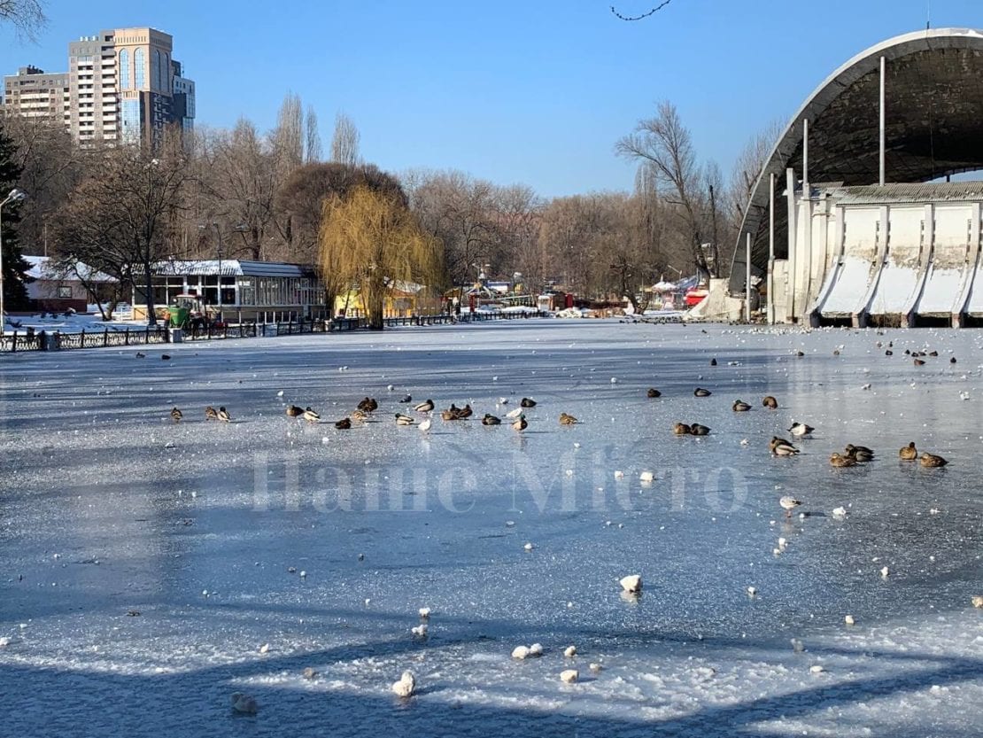 парк Глобы в Днепре зимой, морозное утро в парке, утки на озере 