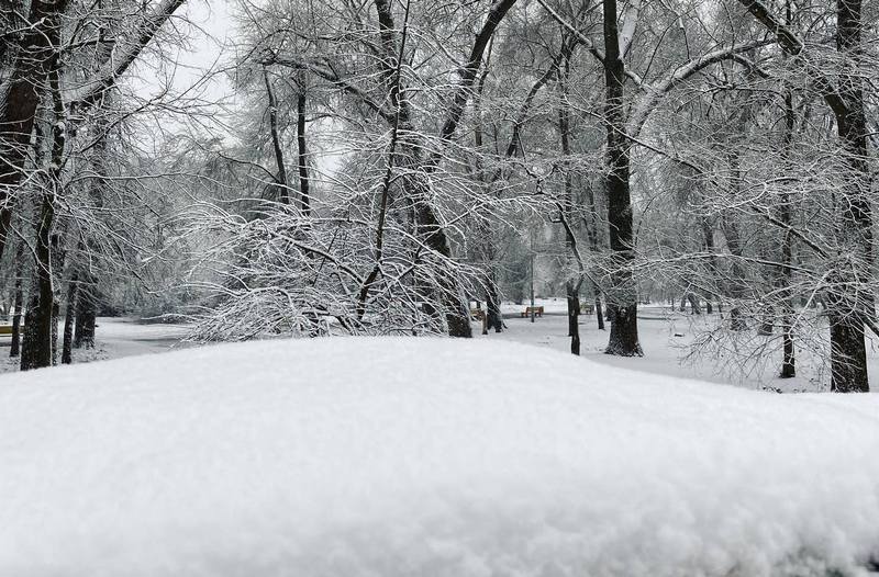 В конце марта завалило снегом (Фото) – новости Днепра