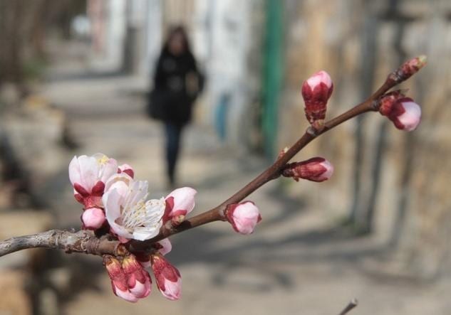 18 марта, Конон Огородник: что нельзя делать – новости Днепра