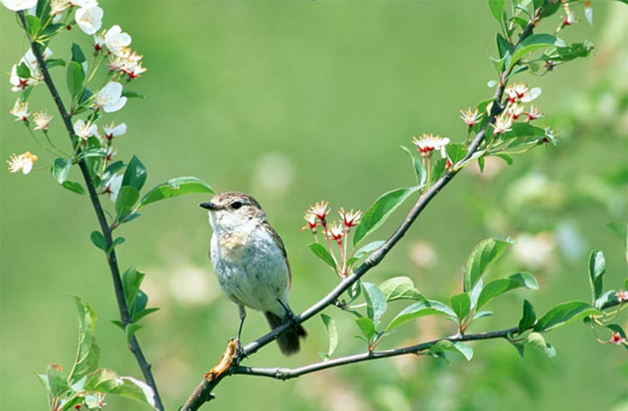 30 марта, Алексей Теплый: что нельзя делать – новости Днепра