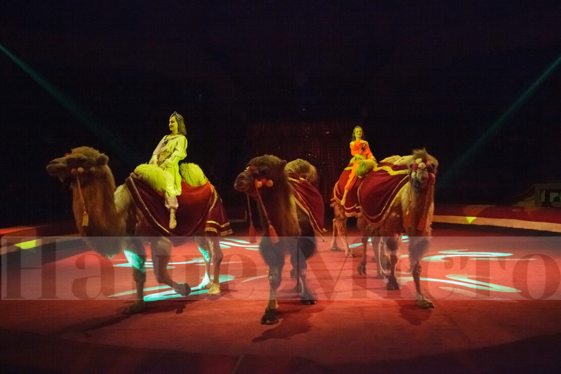 Экстремальные трюки, укрощение быка и лапендул: в цирке Днепра новое шоу "Адреналин драйв" (Фото)