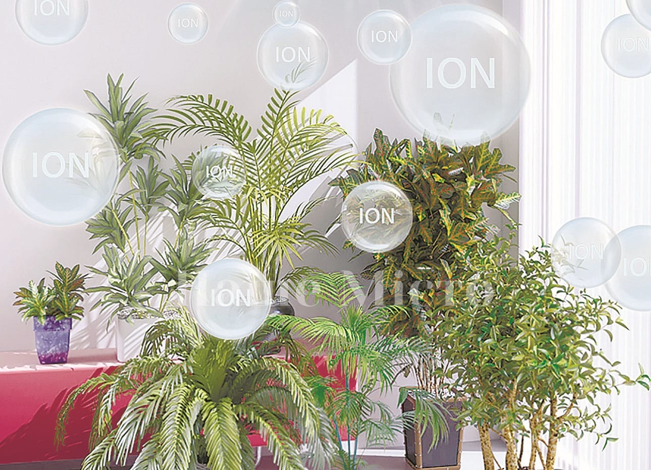 Какие комнатные растения лучше всего очищают воздух – новости Днепра
