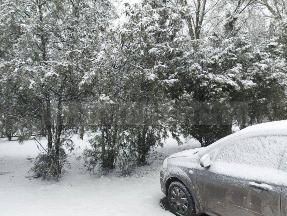 Зимняя сказка в начале марта: в Днепре прошел снегопад (Фото)