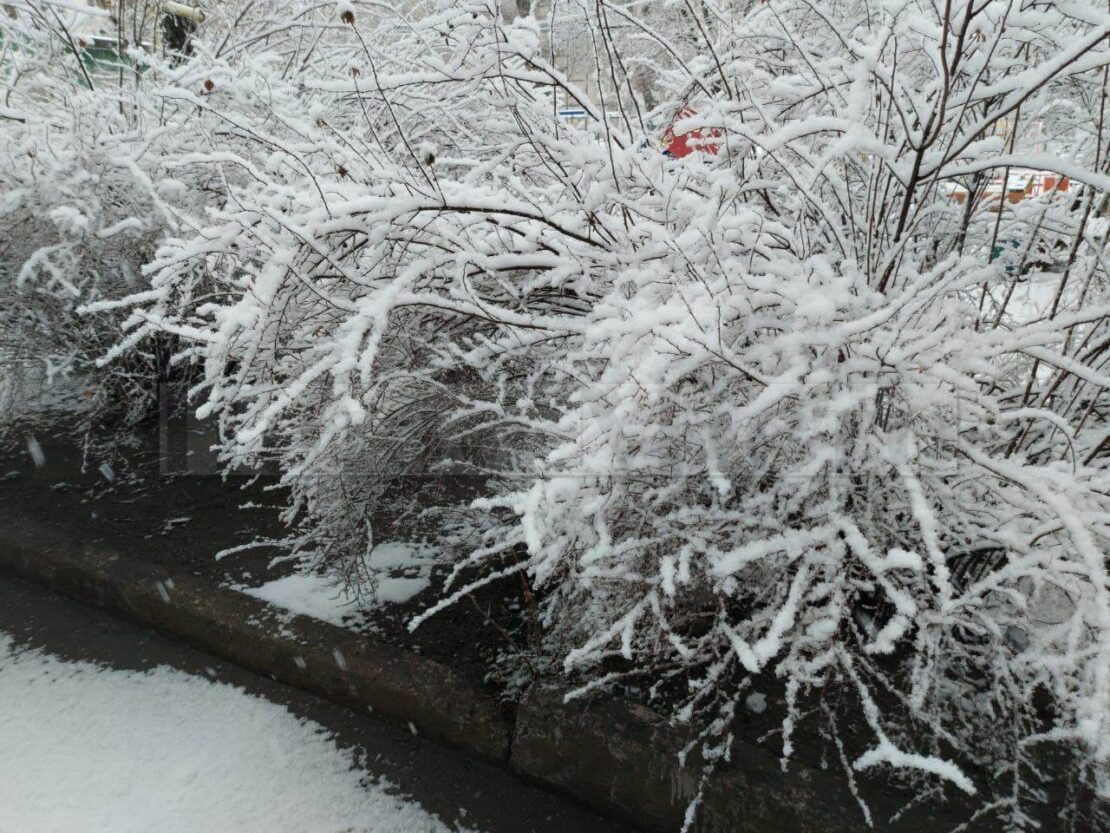 Зимняя сказка в начале марта: в Днепре прошел снегопад (Фото)
