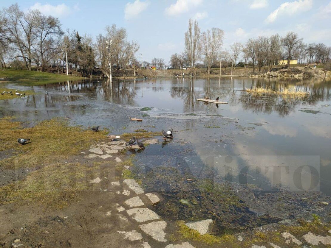 Лавочки теперь для голубей и уток: в Днепре на ж/м Красный Камень карьер вышел из берегов (фото)