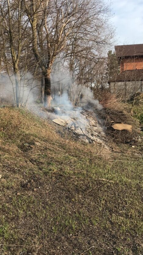 Горожане массово поджигают траву и мусор – новости Днепра