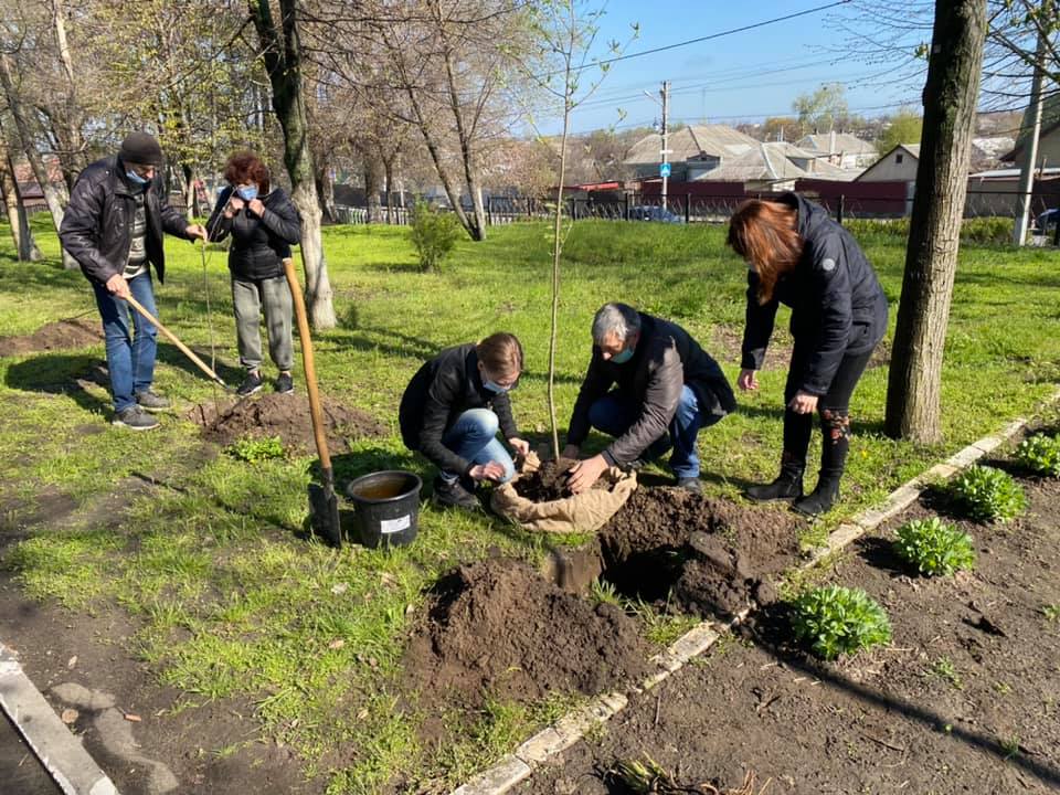 В "Центре художественно-эстетического творчества" высадили деревья и кусты – новости Днепра