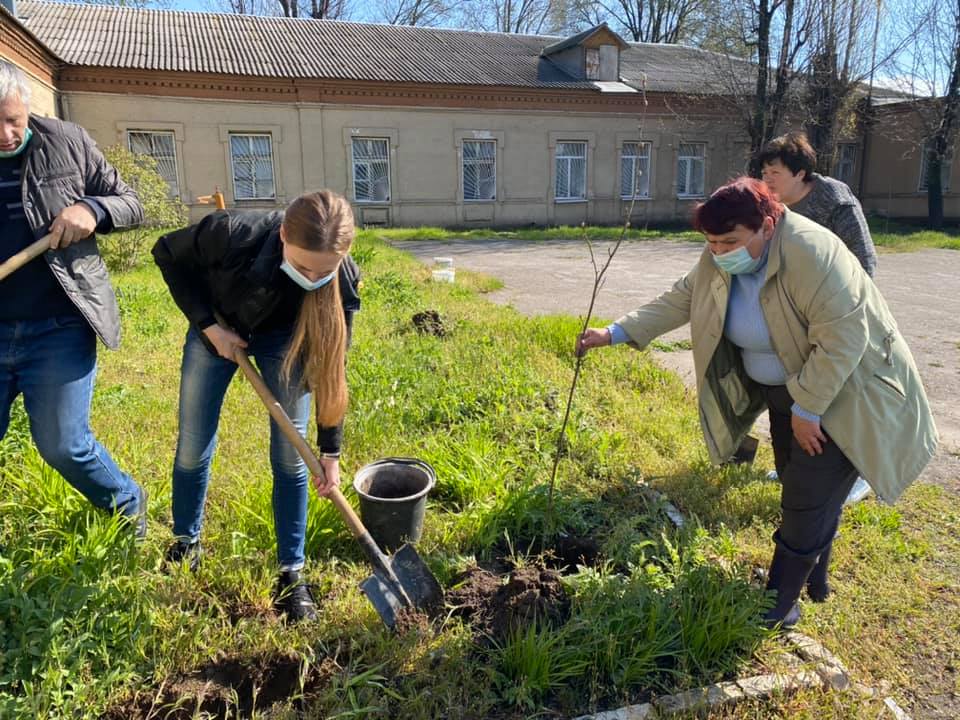 В "Центре художественно-эстетического творчества" высадили деревья и кусты – новости Днепра