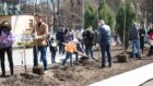 В Днепре возле памятника академику Янгелю появилась аллея сакур