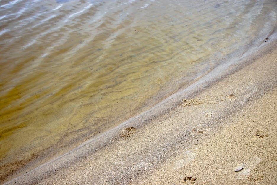Пляж на Монастырском острове на 90 % соответствует критериям программы качества пляжей «Голубой флаг»