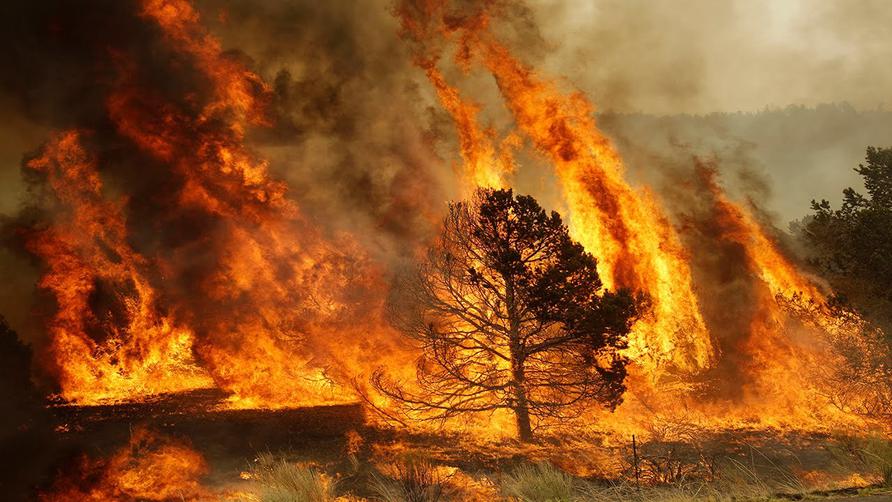 Высочайший уровень пожарной опасности – новости Днепра