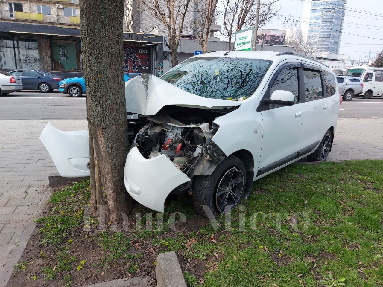 Напротив цирка Renault влетел в дерево (Фото) – новости Днепра