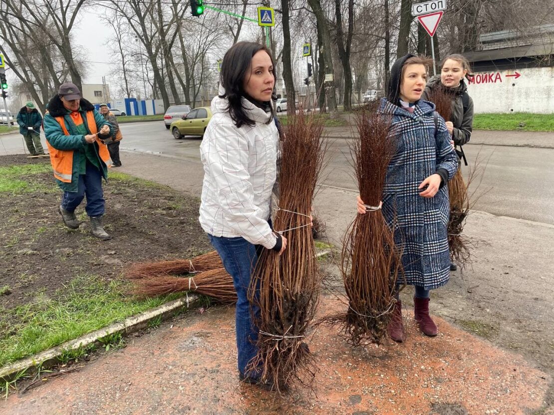 Высадили 300 кустов спиреи белой – новости Днепра