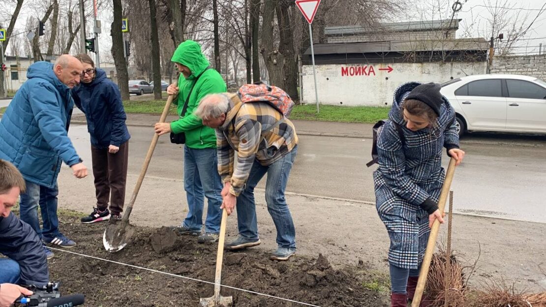 Высадили 300 кустов спиреи белой – новости Днепра