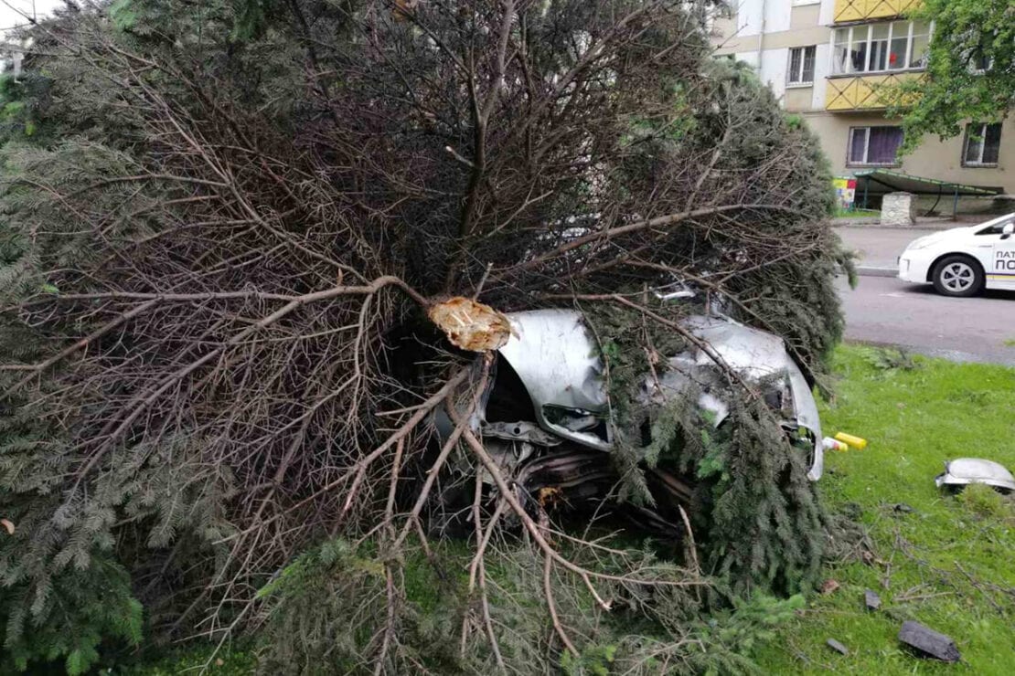 На Гагарина водитель снес ель и сбежал (Фото) – новости Днепра