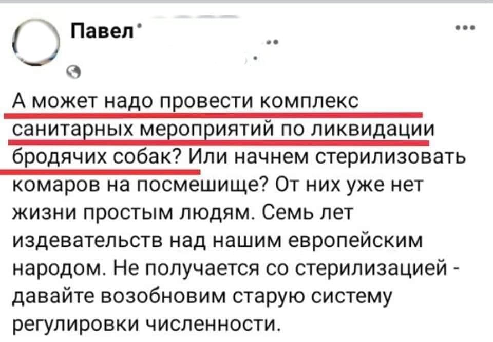 Это будущие маньяки: волонтёры о догхантерах – новости Днепра