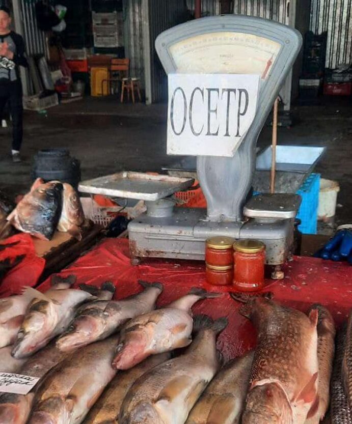 На «Озерке» скандал из-за браконьерской рыбы – новости Днепра