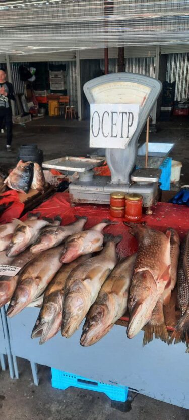 На «Озерке» скандал из-за браконьерской рыбы – новости Днепра