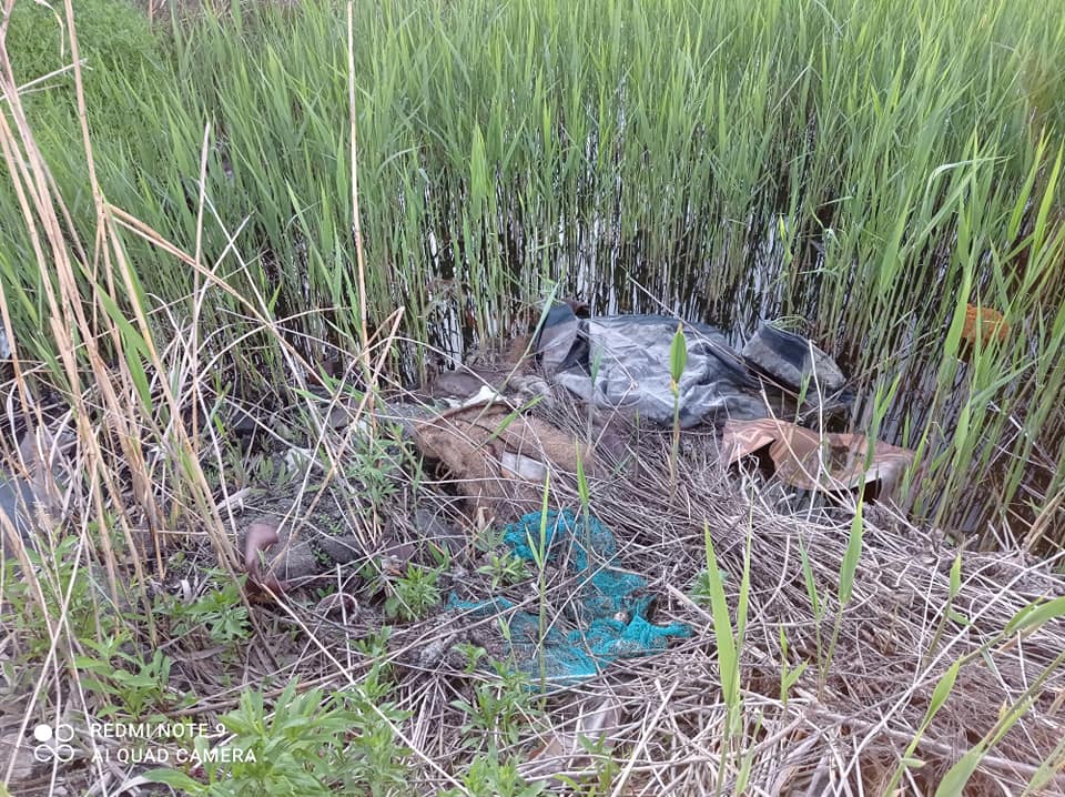 Волосы дыбом становятся: в Днепре озеро утопает в стихийных свалках (фото)