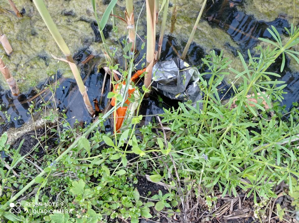 Волосы дыбом становятся: в Днепре озеро утопает в стихийных свалках (фото)