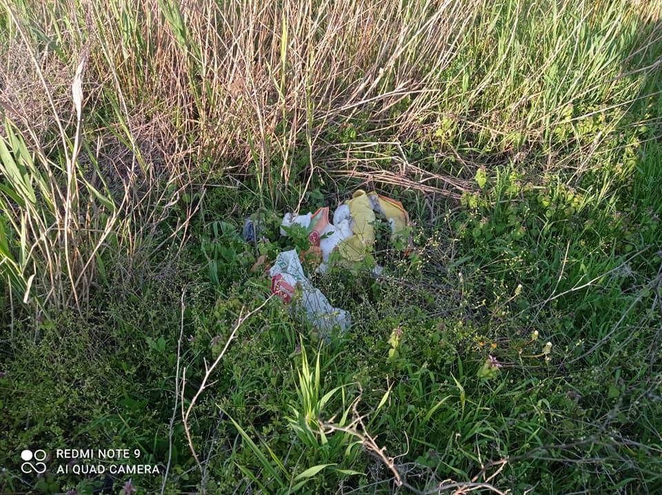 Волосы дыбом становятся: в Днепре озеро утопает в стихийных свалках (фото)