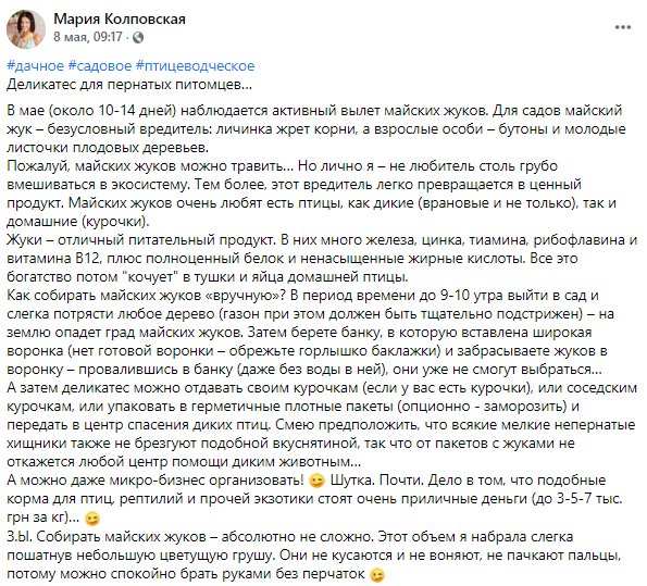 Как заработать на майских жуках – новости Днепра