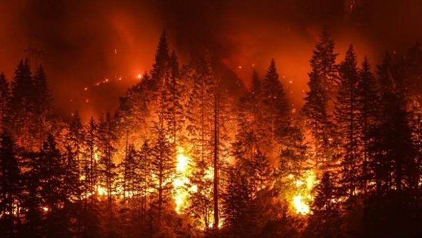 Объявили высочайший уровень пожарной опасности – новости Днепра