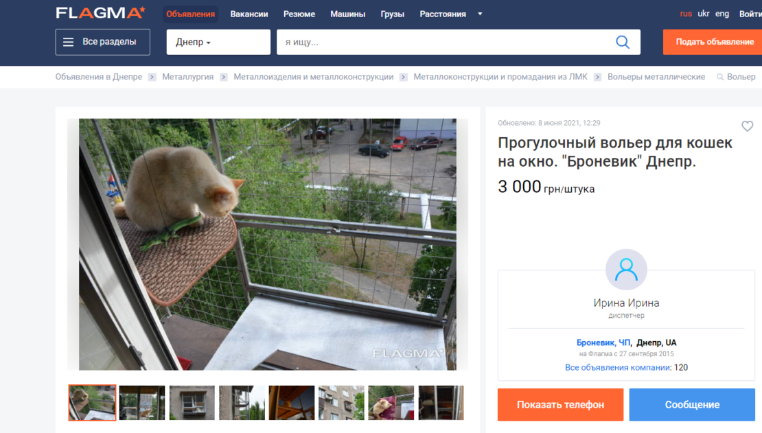 В Днепре приобретают популярность «кошачьи балконы»: какая стоимость (фото)