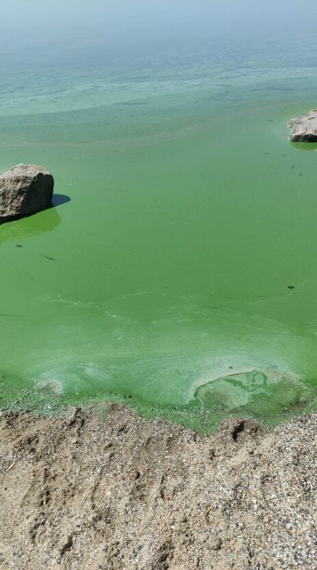 Каховское водохранилище фото