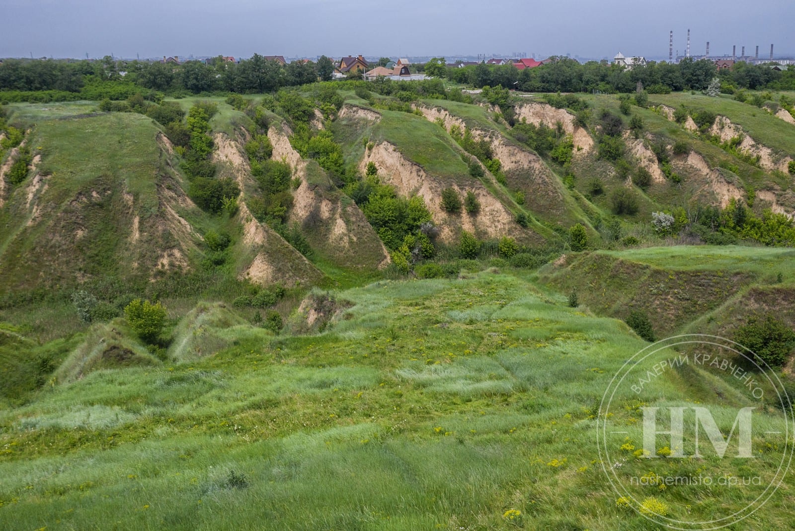 Как выглядит балка фото