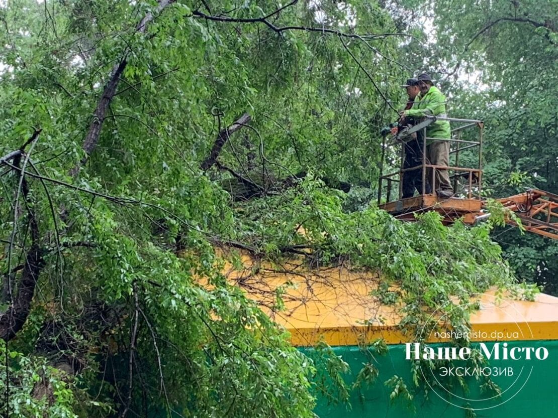 В парке Глобы дерево рухнуло на детские аттракционы – новости Днепра