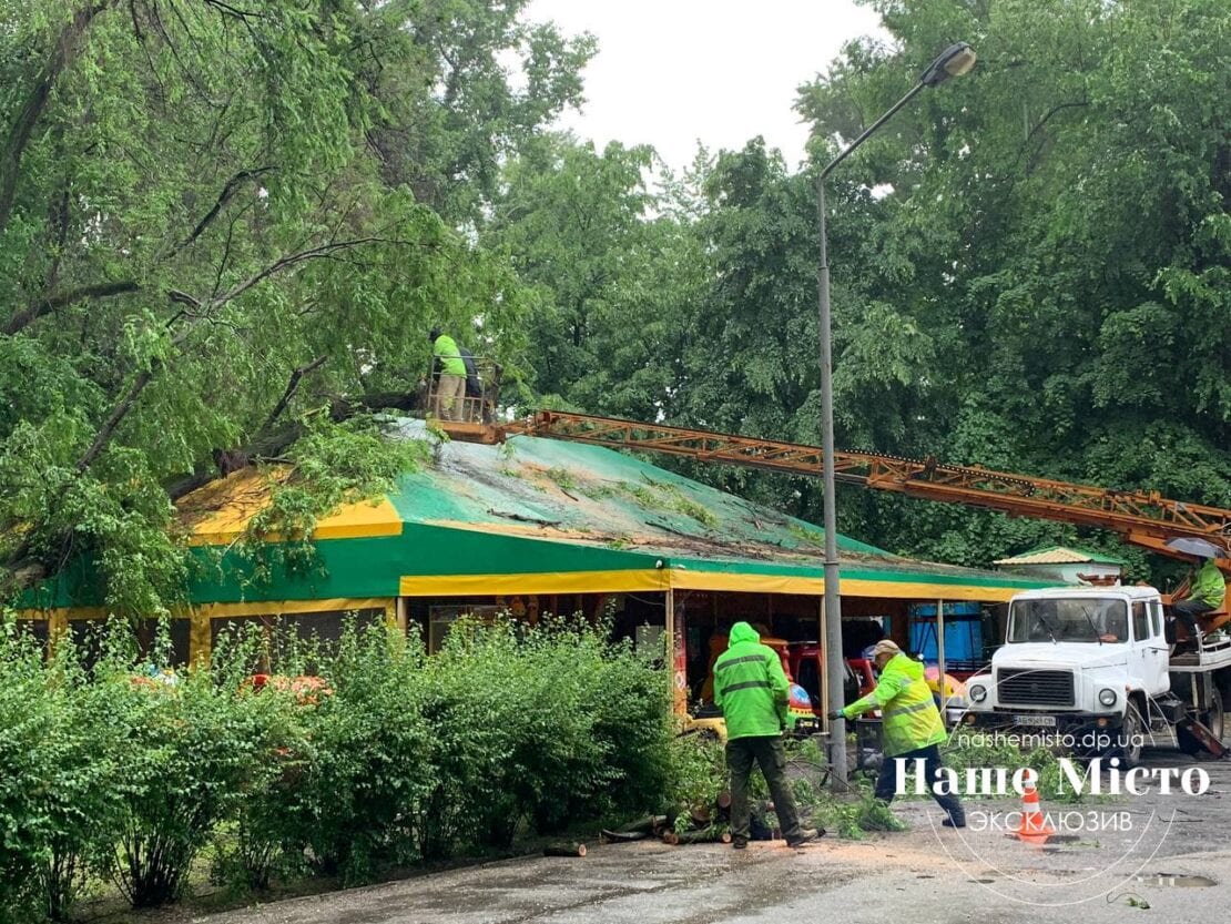 В парке Глобы дерево рухнуло на детские аттракционы – новости Днепра