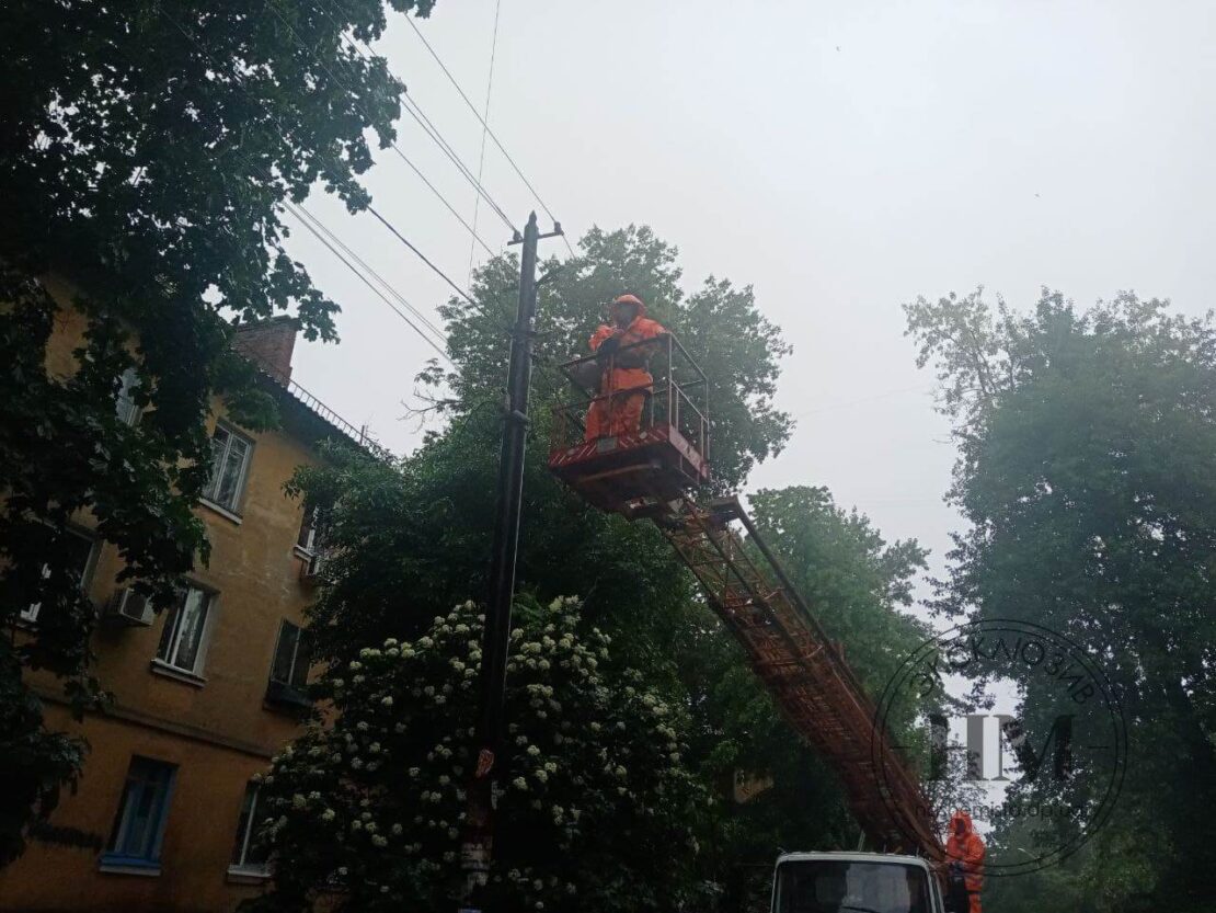 В Днепре коммунальщики убирают упавшие деревья (фото)