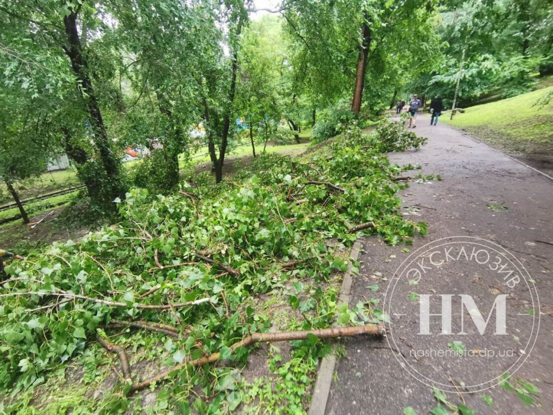В парке Глобы из-за ливня рухнули деревья – новости Днепра