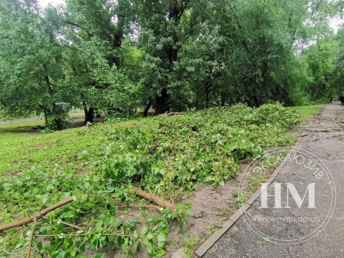 В парке Глобы из-за ливня рухнули деревья – новости Днепра