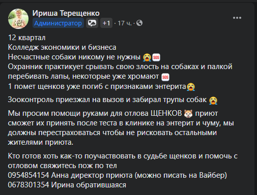 Охранник, развлекаясь, перебивает лапы: в Днепре нужна помощь в спасении собачьей стаи (Фото)