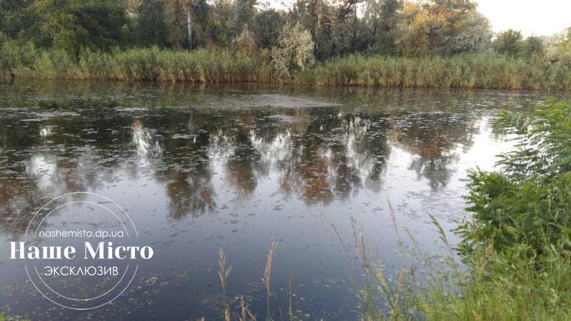 Орель в Обуховке воняет канализацией и липнет - новости Днепра