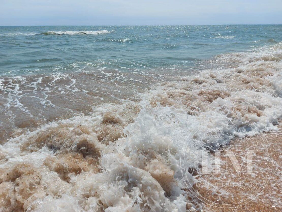 После шторма исчезли медузы: отзывы днепрян - новости Днепра
