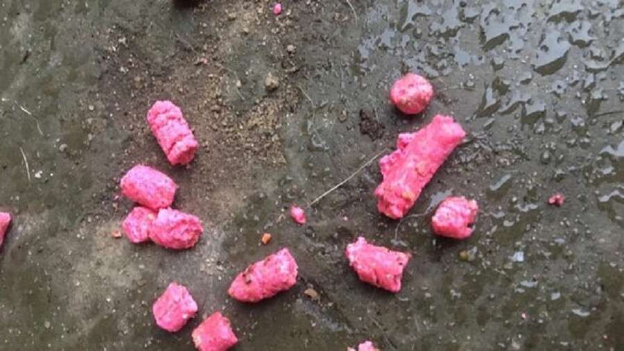 В центре Днепра разбросали яд для собак (Фото) - новости Днепра
