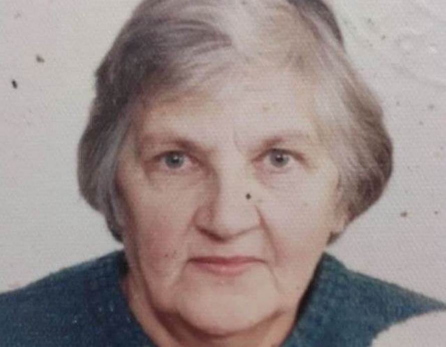 Поиск 83-летней Скорик Жанны - новости Днепра