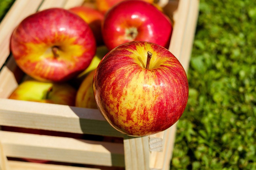 ТОП-10 самых полезных овощей и фруктов в сентябре 2021  - новости Днепра