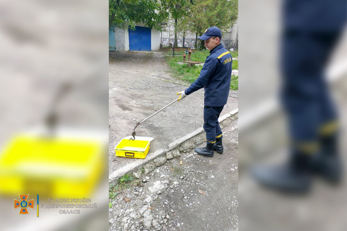 В Днепре во дворе жилого дома обнаружили огромную змею (фото)