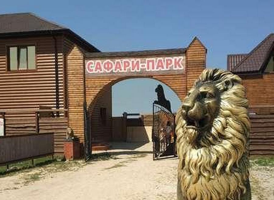 «Сафари-парк» на Арабатской Стрелке 28.09.21 - новости Днепра