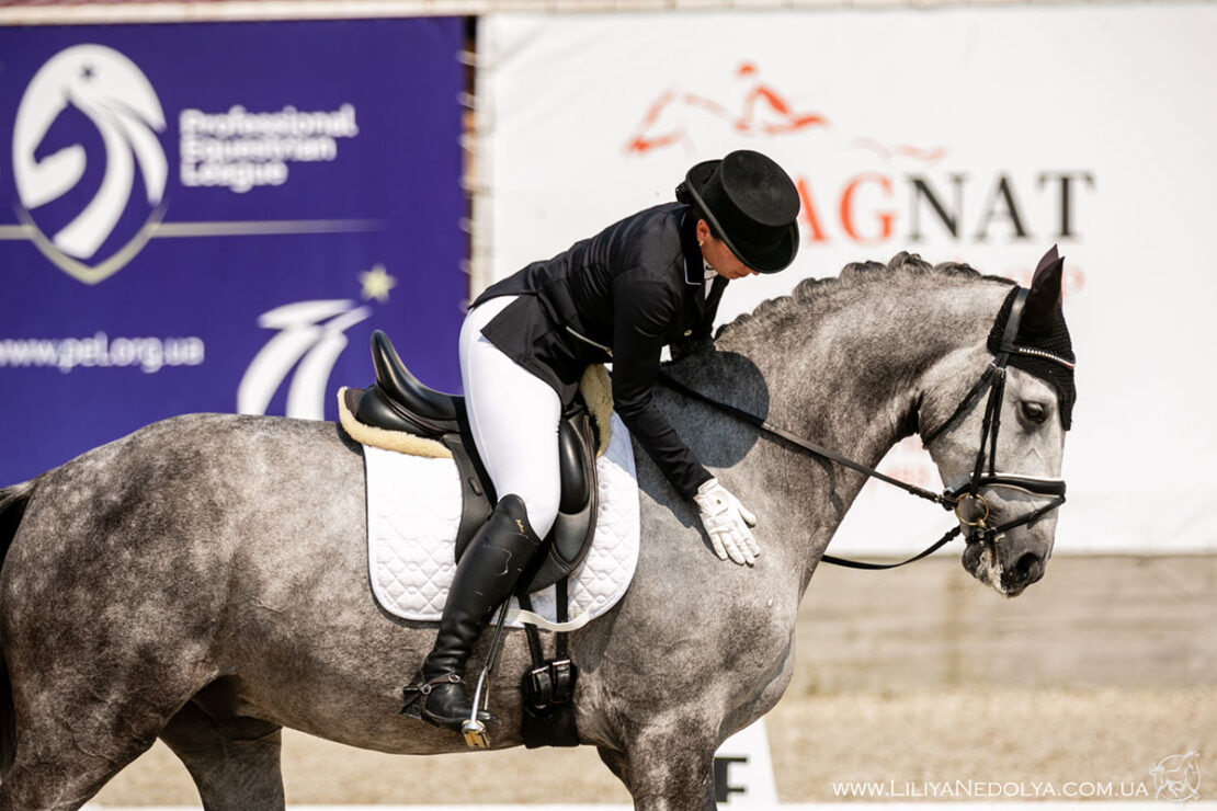 В Днепре пройдут масштабные соревнования по конному спорту «DNEPRHORSESHOW 2021»