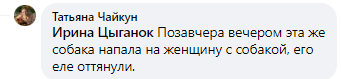 Питбуль напал на женщину с собачкой- новости Днепра