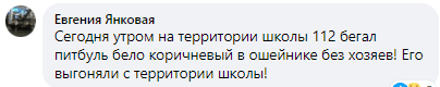 Питбуль напал на женщину с собачкой- новости Днепра