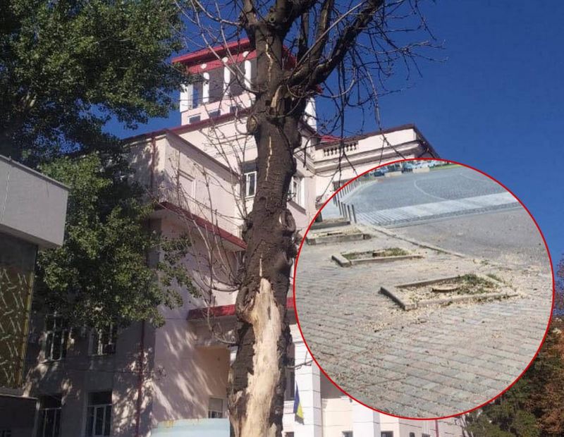 Возле парка Шевченко удалили аварийные деревья - новости Днепра