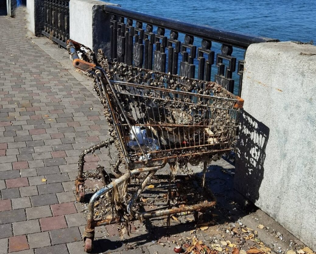 Из Днепра достали «современный арт-объект» (Фото) - новости Днепра