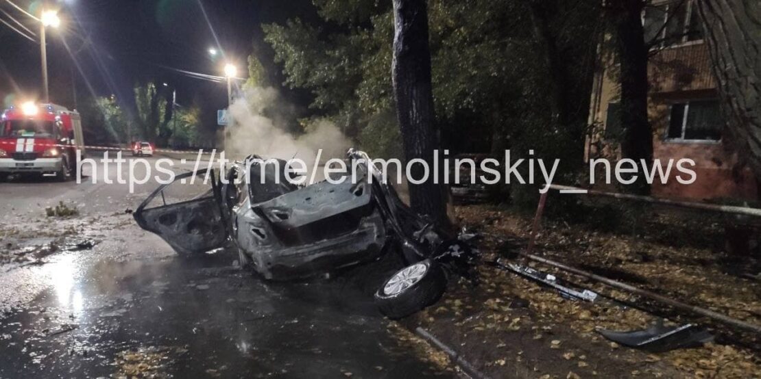 Под Днепром автомобиль «Toyota» врезался в дерево, женщина-водитель погибла на месте (фото)