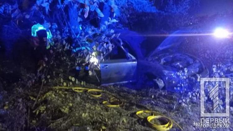 Под Днепром авто на скорости влетело в дерево: трое пострадавших